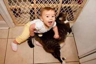 小男孩 在线观看,在线观看，探寻成长与梦想的奇幻之旅  第1张