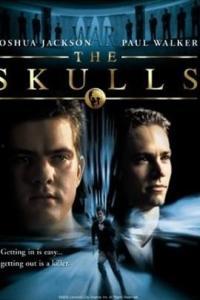 头骨俱乐部在线观看,头骨俱乐部在线揭秘之旅  第1张